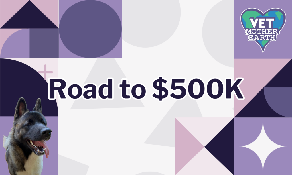 The Road To $500K