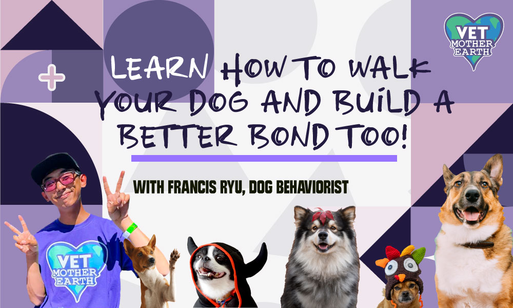 What’s the correct way to walk a dog?